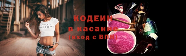 хмурый Богородицк