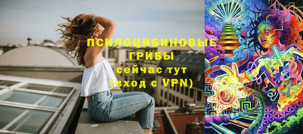 хмурый Богородицк