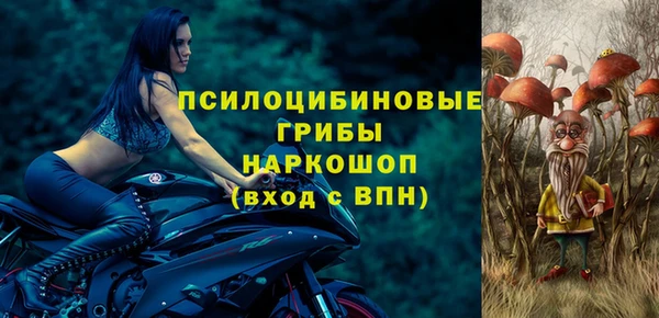 бошки Бородино
