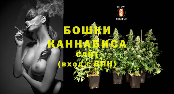 бошки Бородино