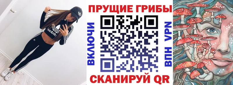 Псилоцибиновые грибы Psilocybe  Дятьково 
